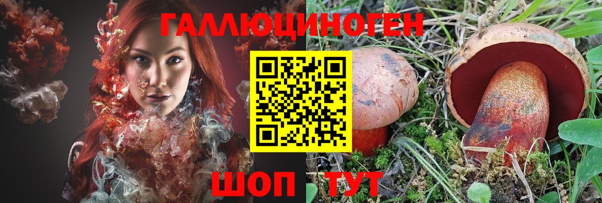 Галлюциногенные грибы Psilocybine cubensis  Псилоцибиновые грибы GOLDEN TEACHER  Искитим  Вход с VPN 