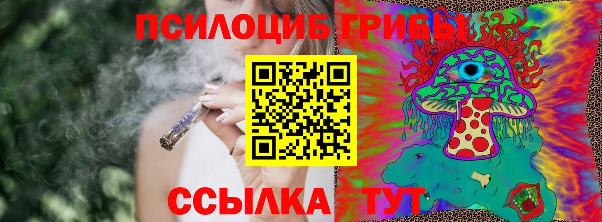 Галлюциногенные грибы Psilocybine cubensis Искитим